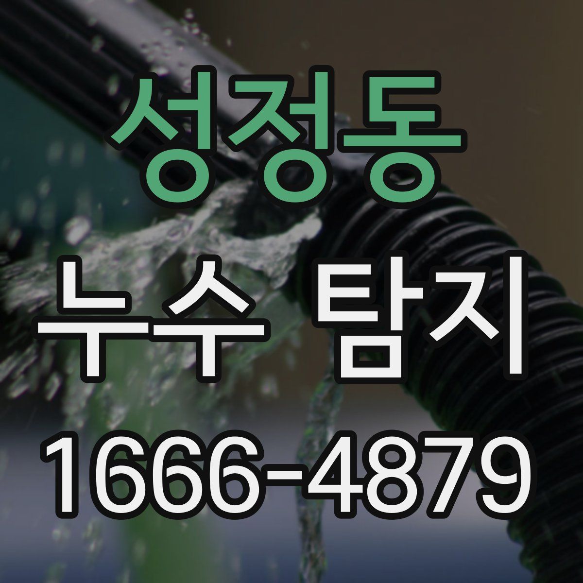 성정동 누수 탐지