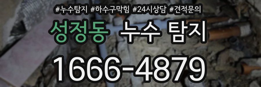 성정동 누수 탐지
