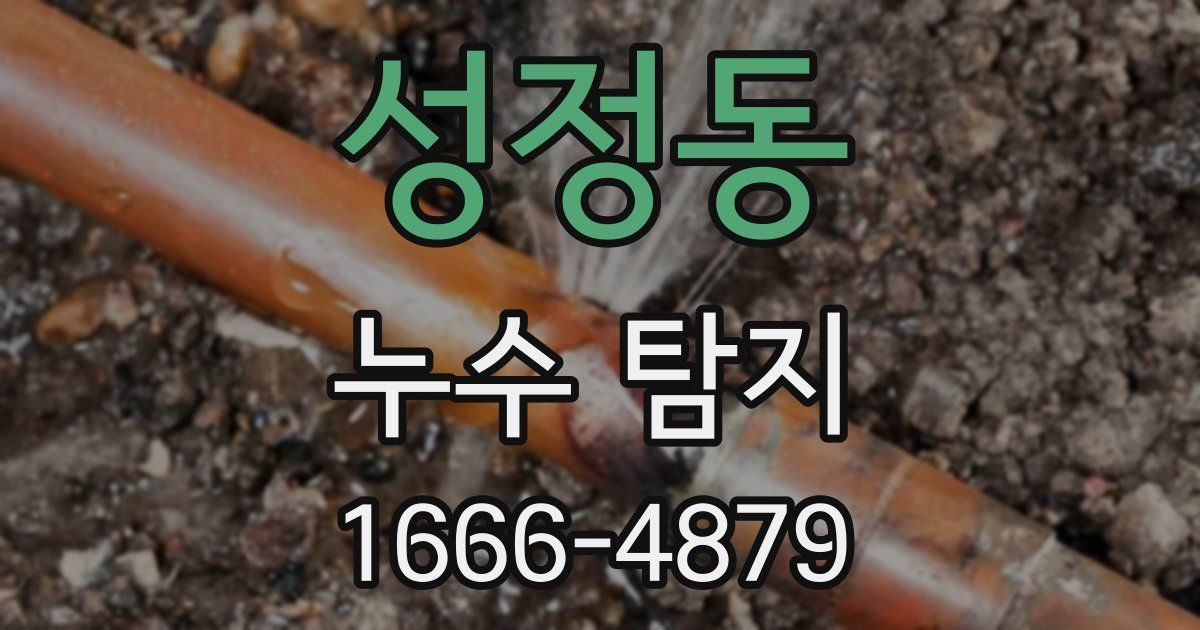 성정동 누수 탐지