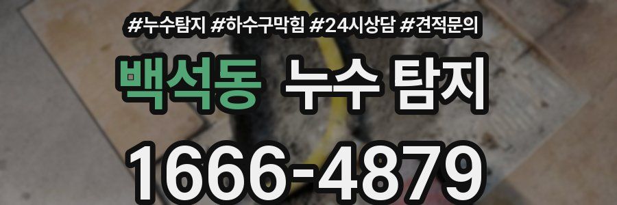 백석동 누수 탐지