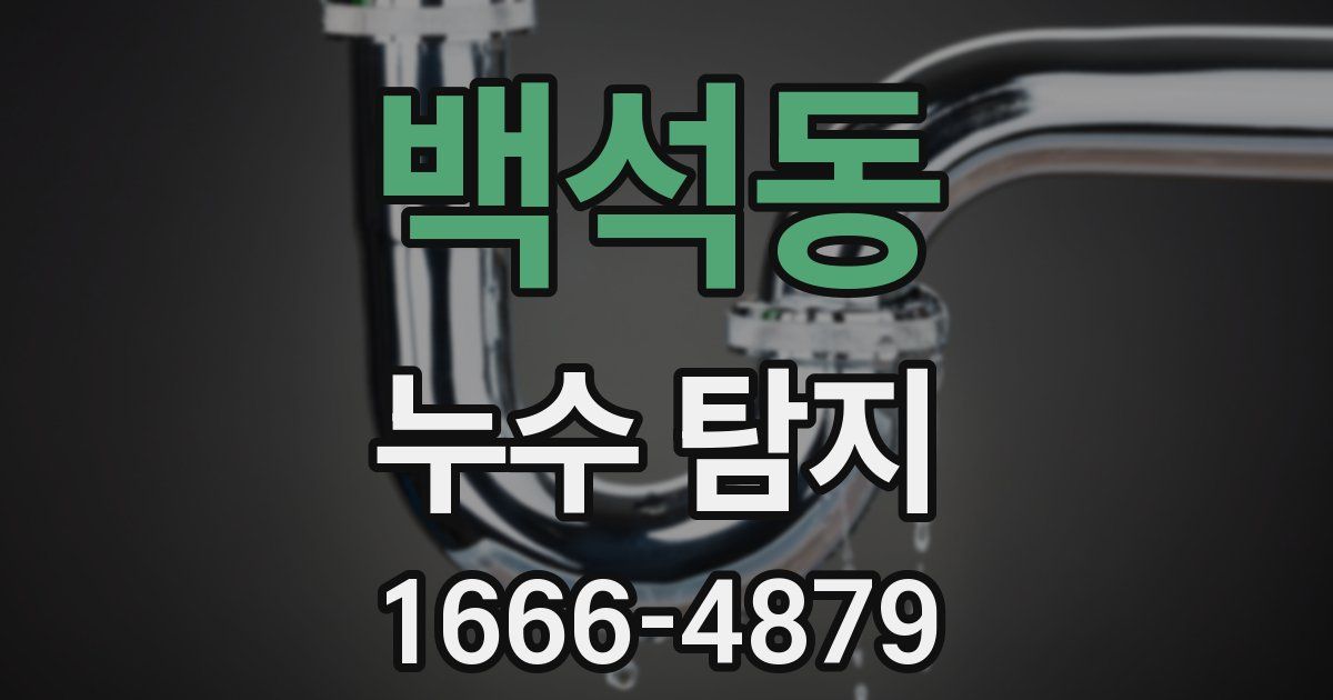 백석동 누수 탐지