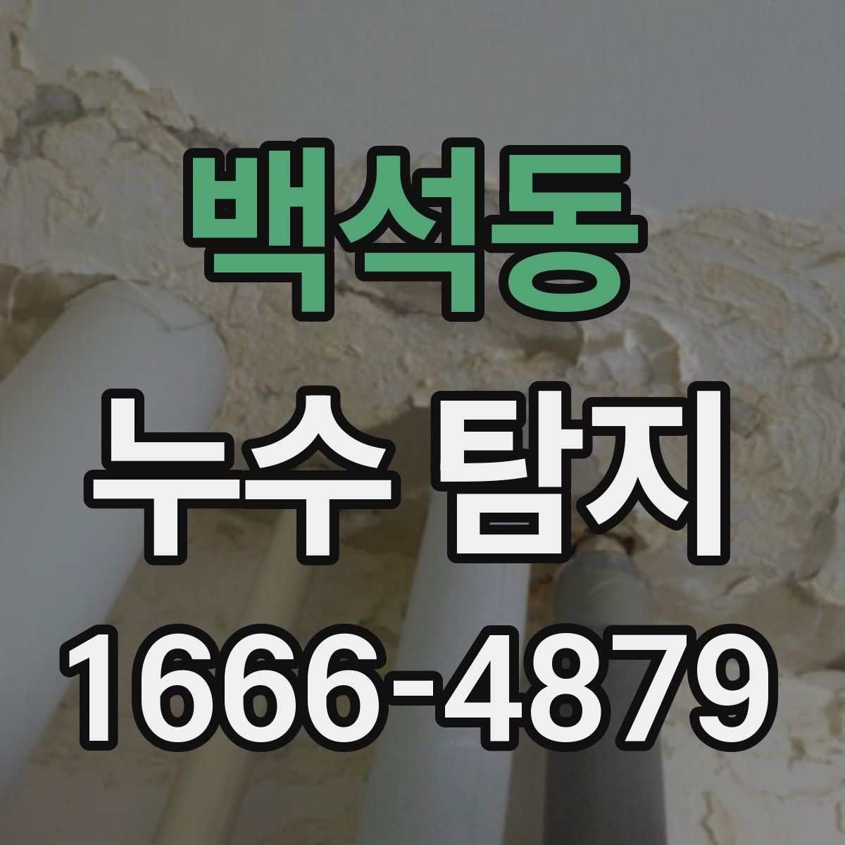 백석동 누수 탐지