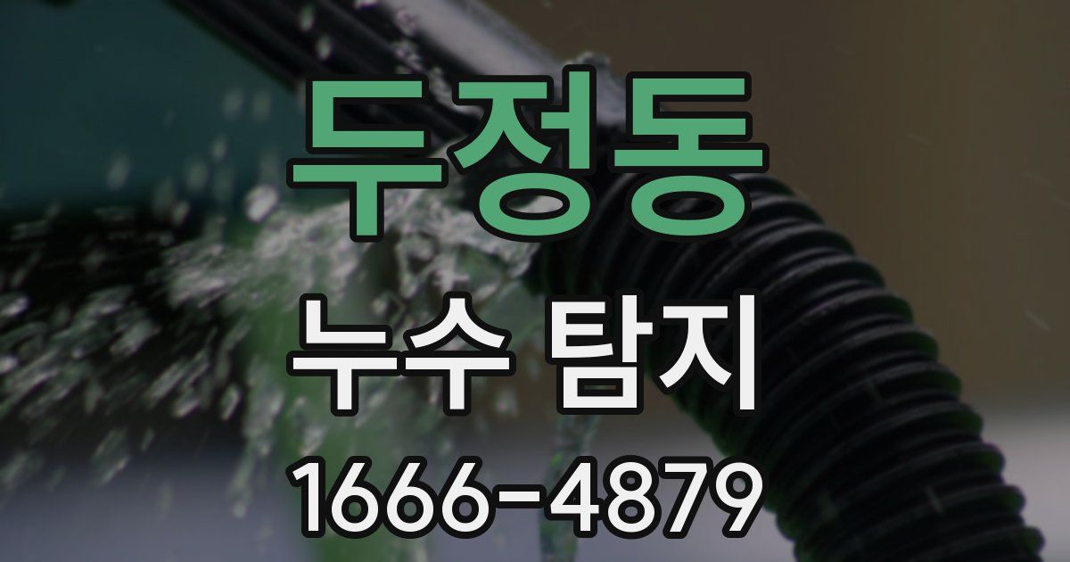 두정동 누수 탐지