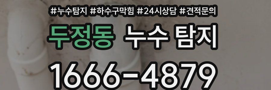 두정동 누수 탐지