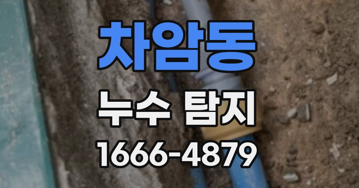 차암동 누수 탐지
