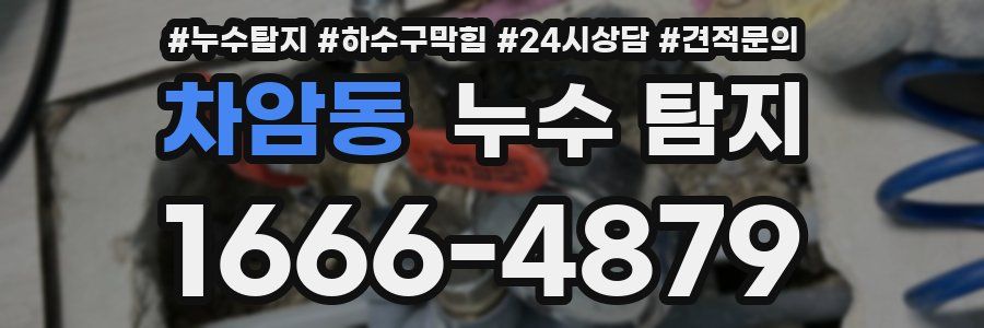 차암동 누수 탐지