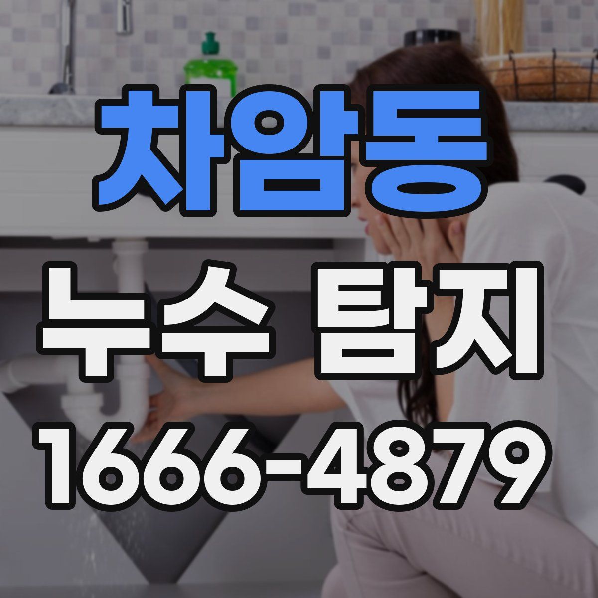 차암동 누수 탐지