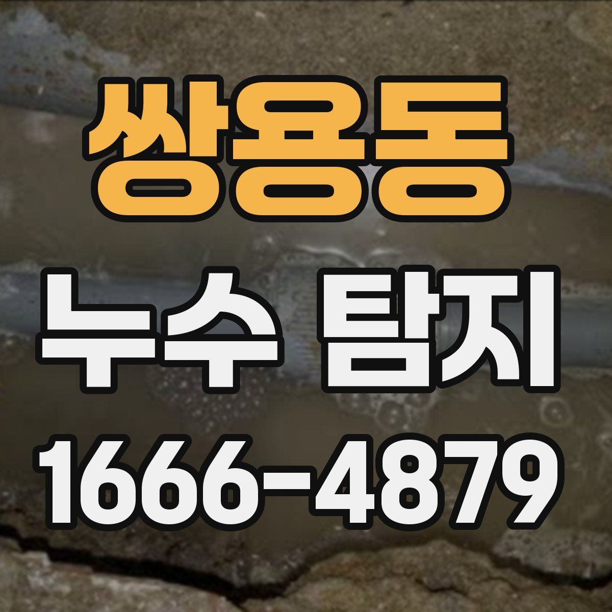 쌍용동 누수 탐지