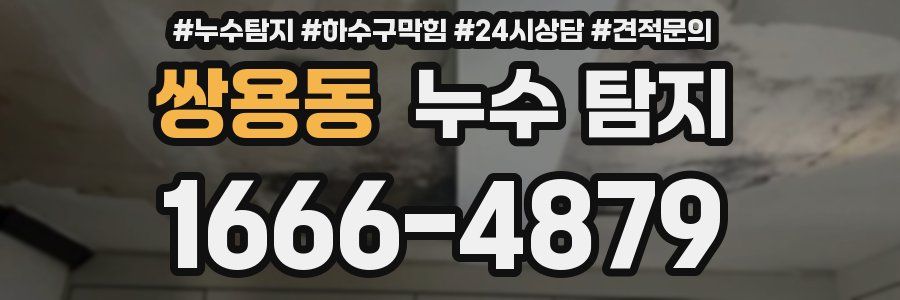 쌍용동 누수 탐지