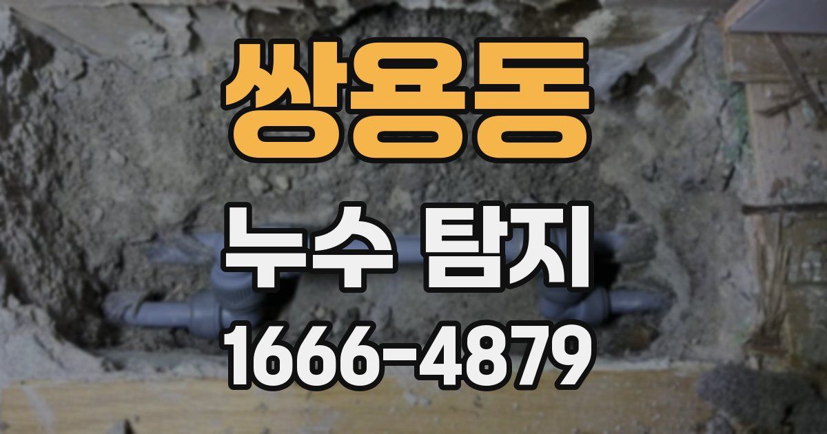 쌍용동 누수 탐지