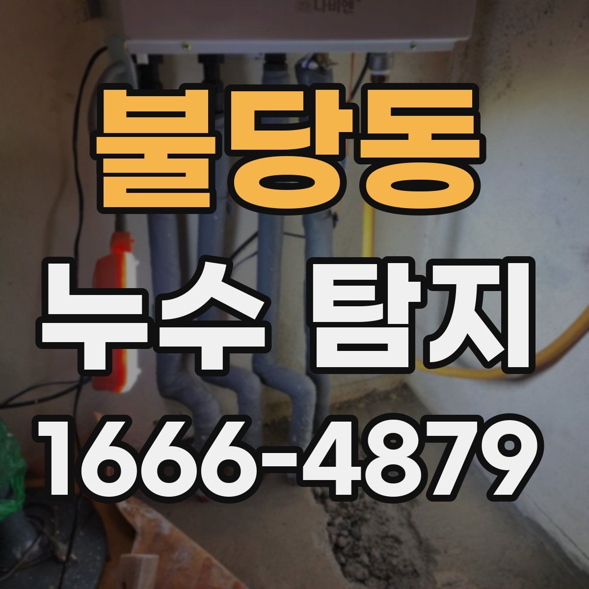 불당동 누수 탐지