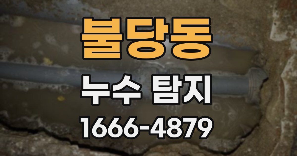 불당동 누수 탐지
