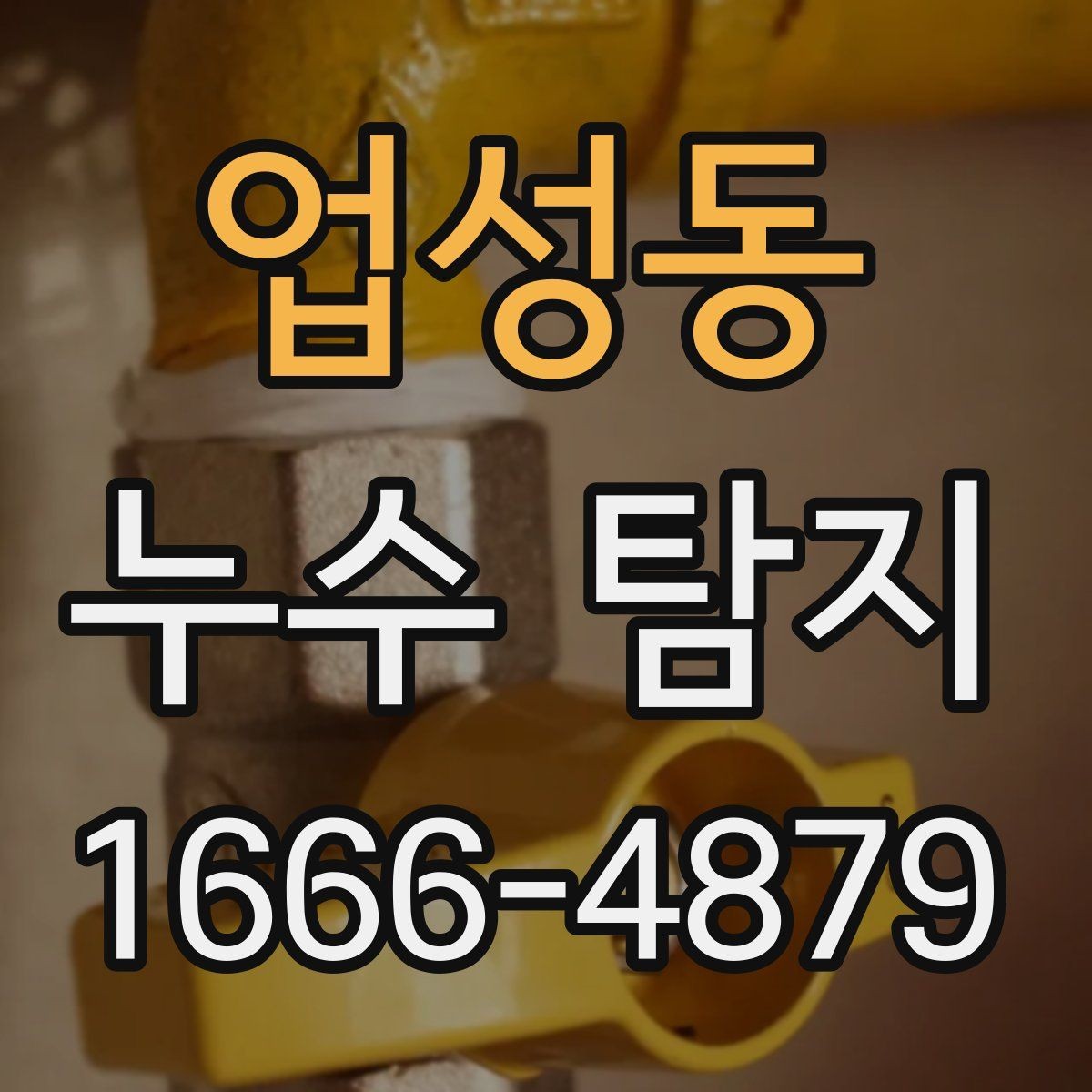 업성동 누수 탐지 장비 선택이 중요한 이유