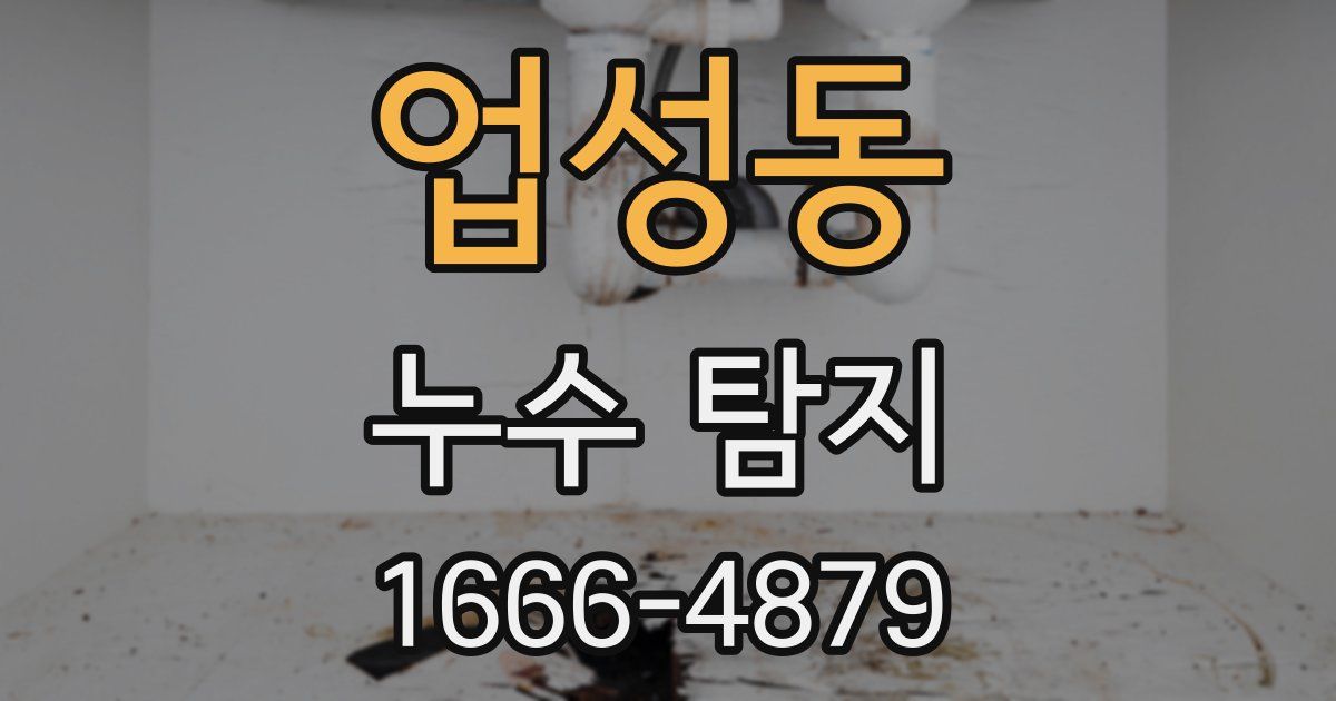 업성동 누수 탐지