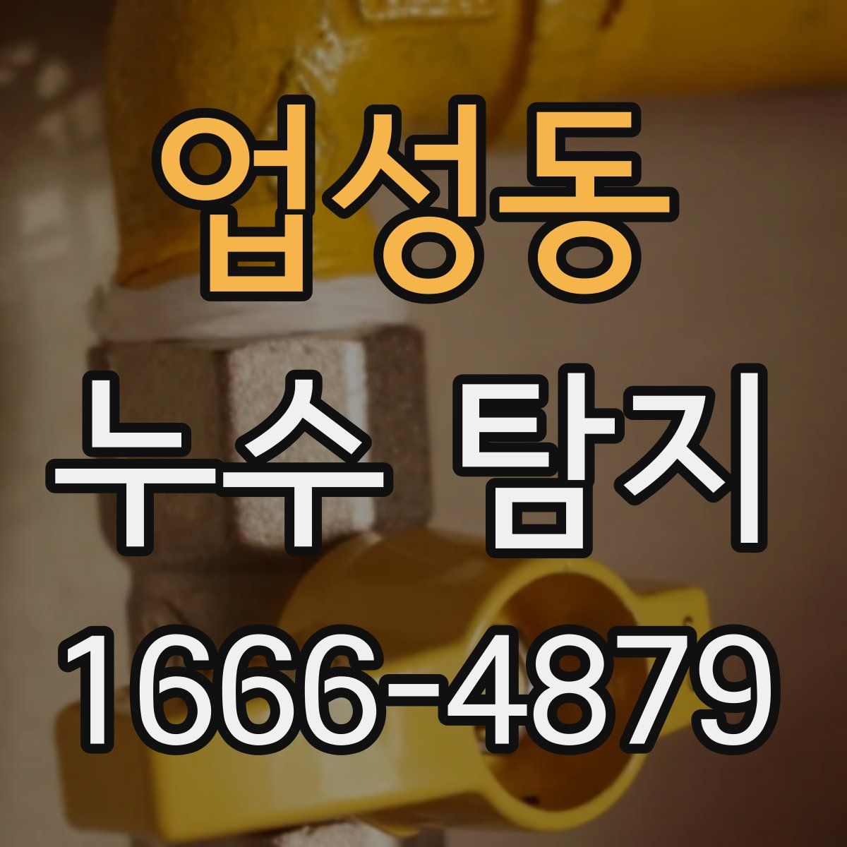 업성동 누수 탐지
