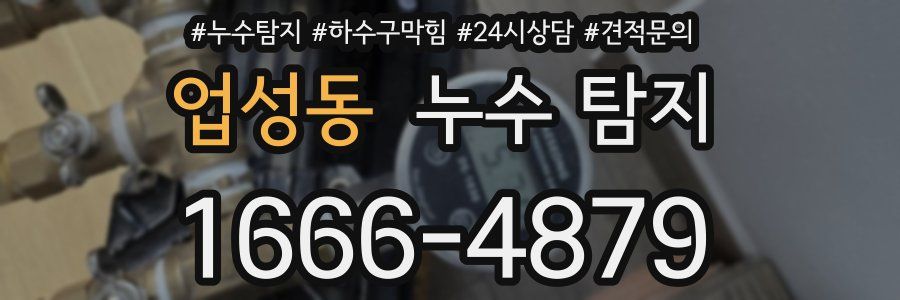 업성동 누수 탐지