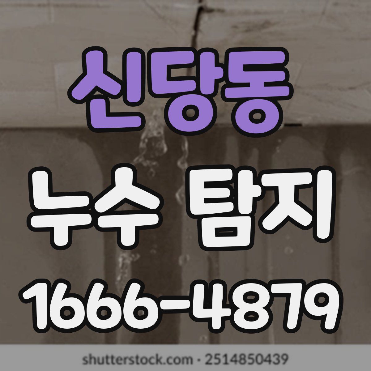 신당동 누수 탐지