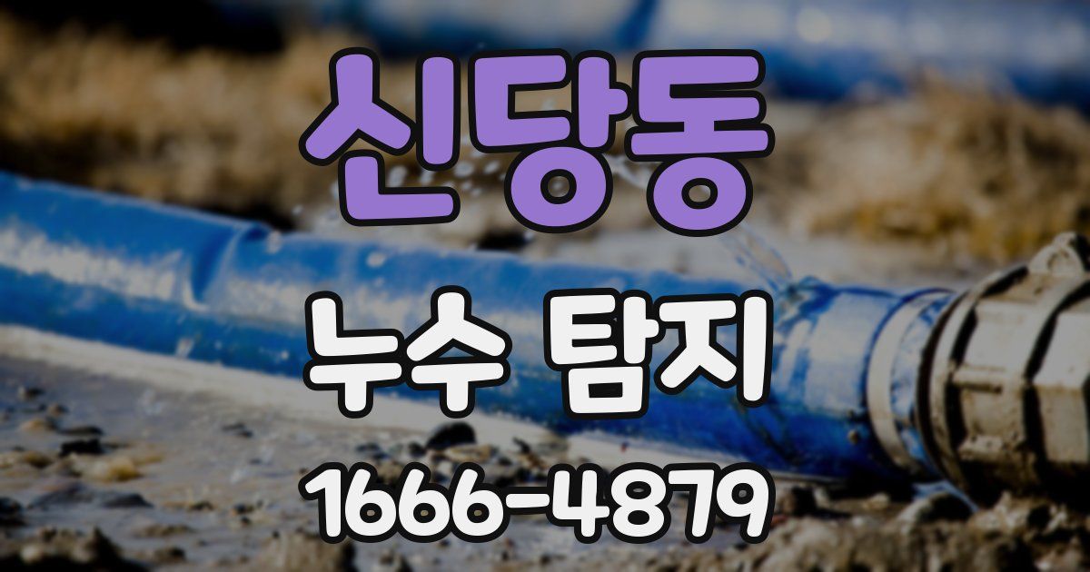 신당동 누수 탐지