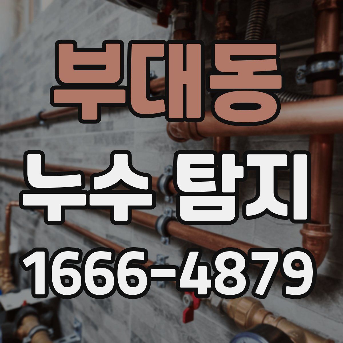 부대동 누수 탐지