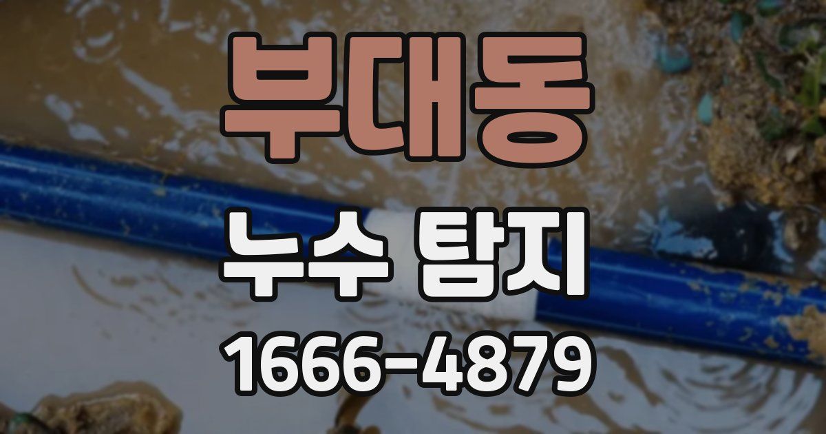 부대동 누수 탐지