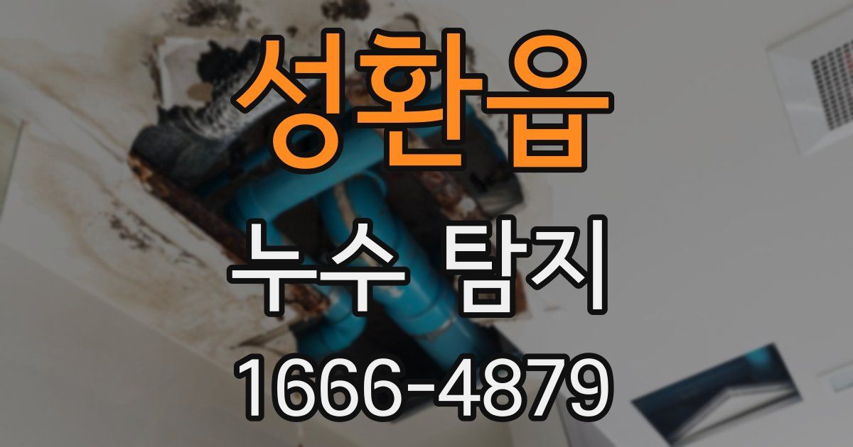 성환읍 누수 탐지