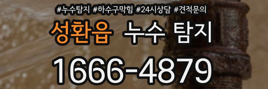 성환읍 누수 탐지