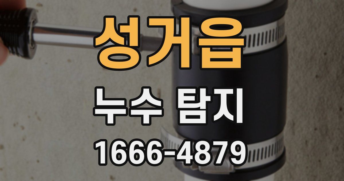 성거읍 누수 탐지