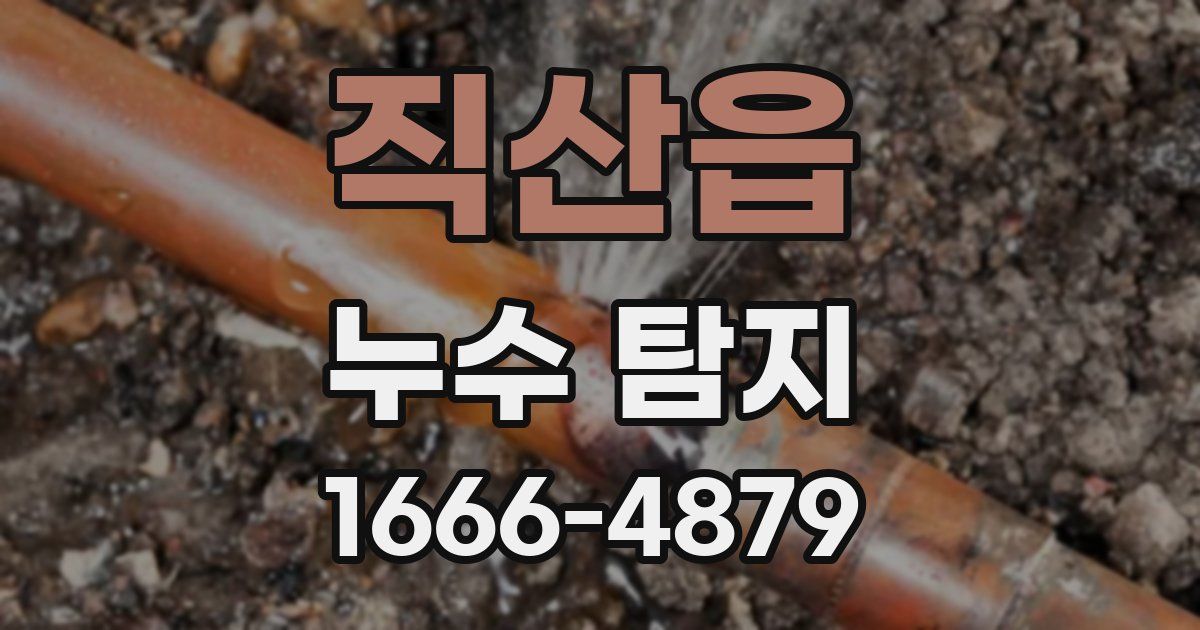 직산읍 누수 탐지