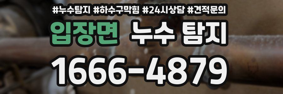 입장면 누수 탐지