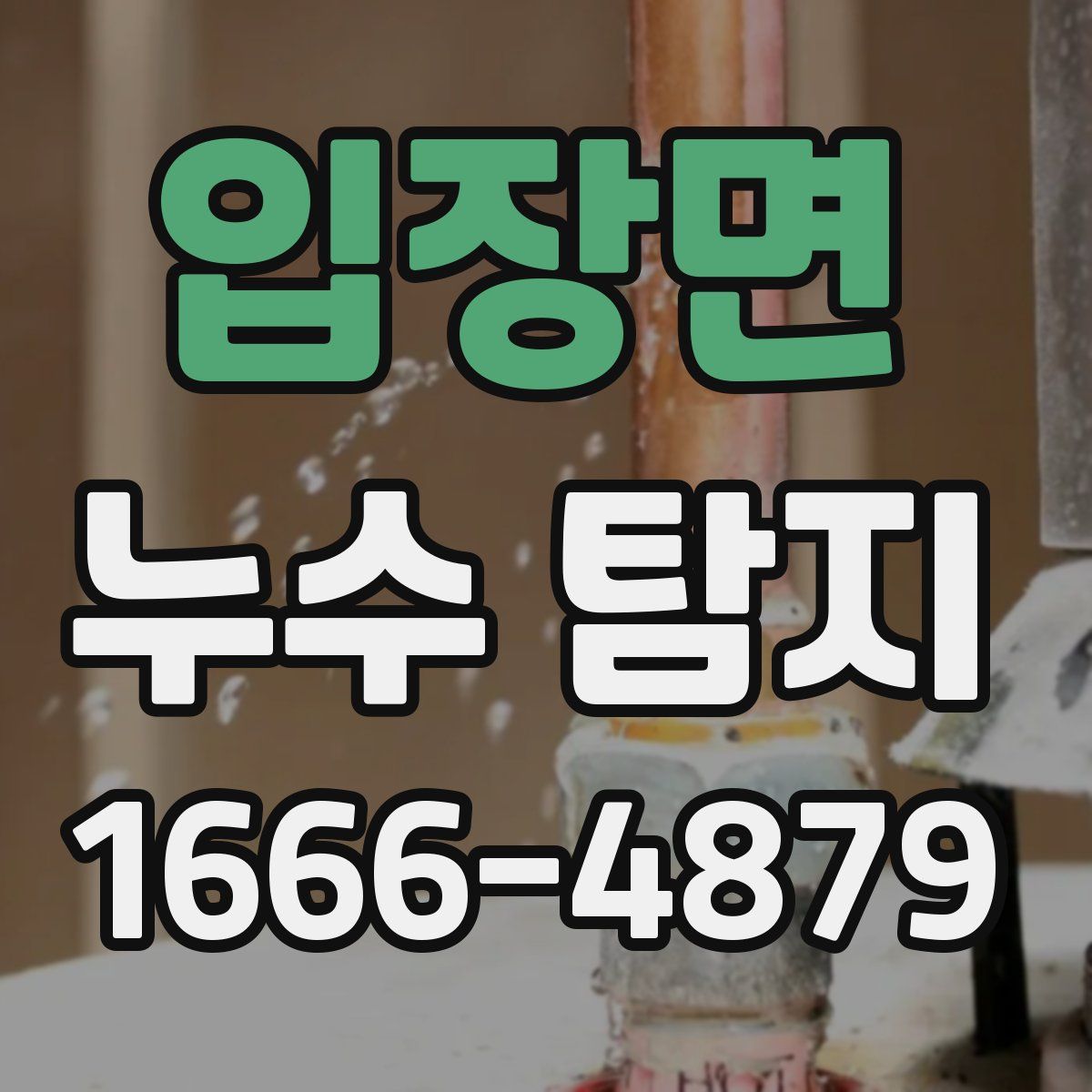 입장면 누수 탐지