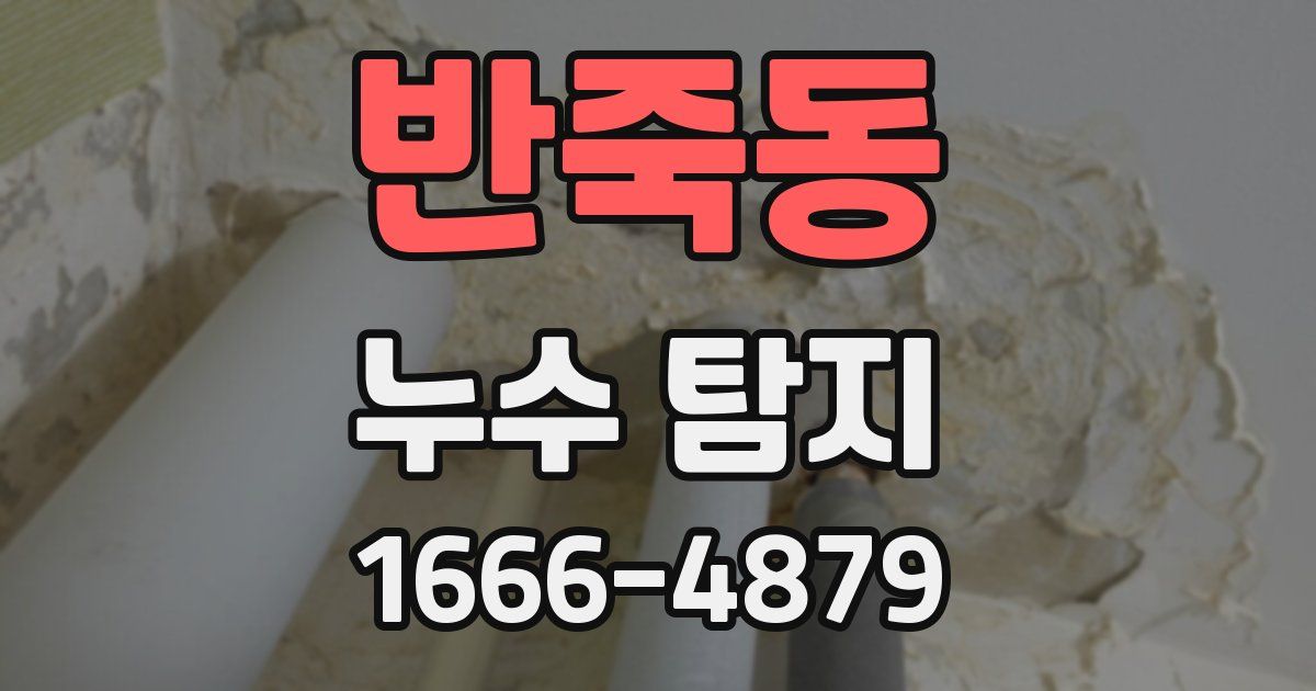 반죽동 누수 탐지