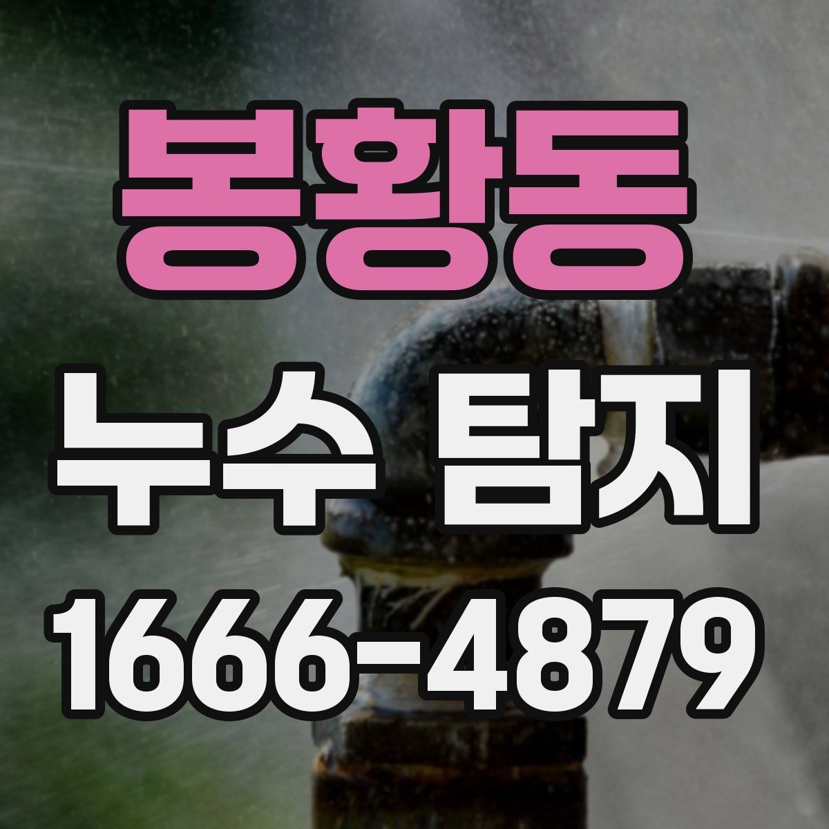 봉황동 누수 탐지