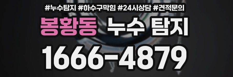 봉황동 누수 탐지