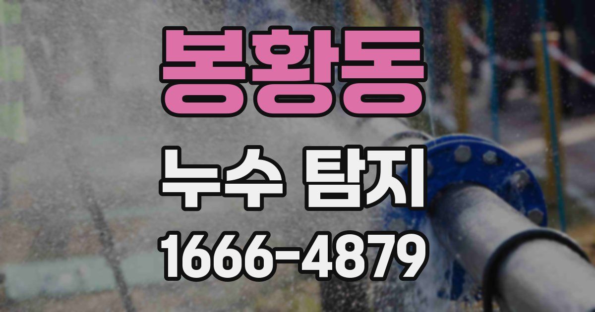 봉황동 누수 탐지