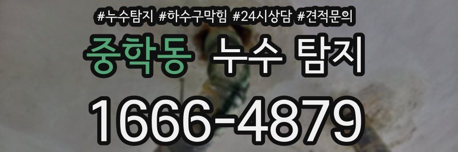 중학동 누수 탐지
