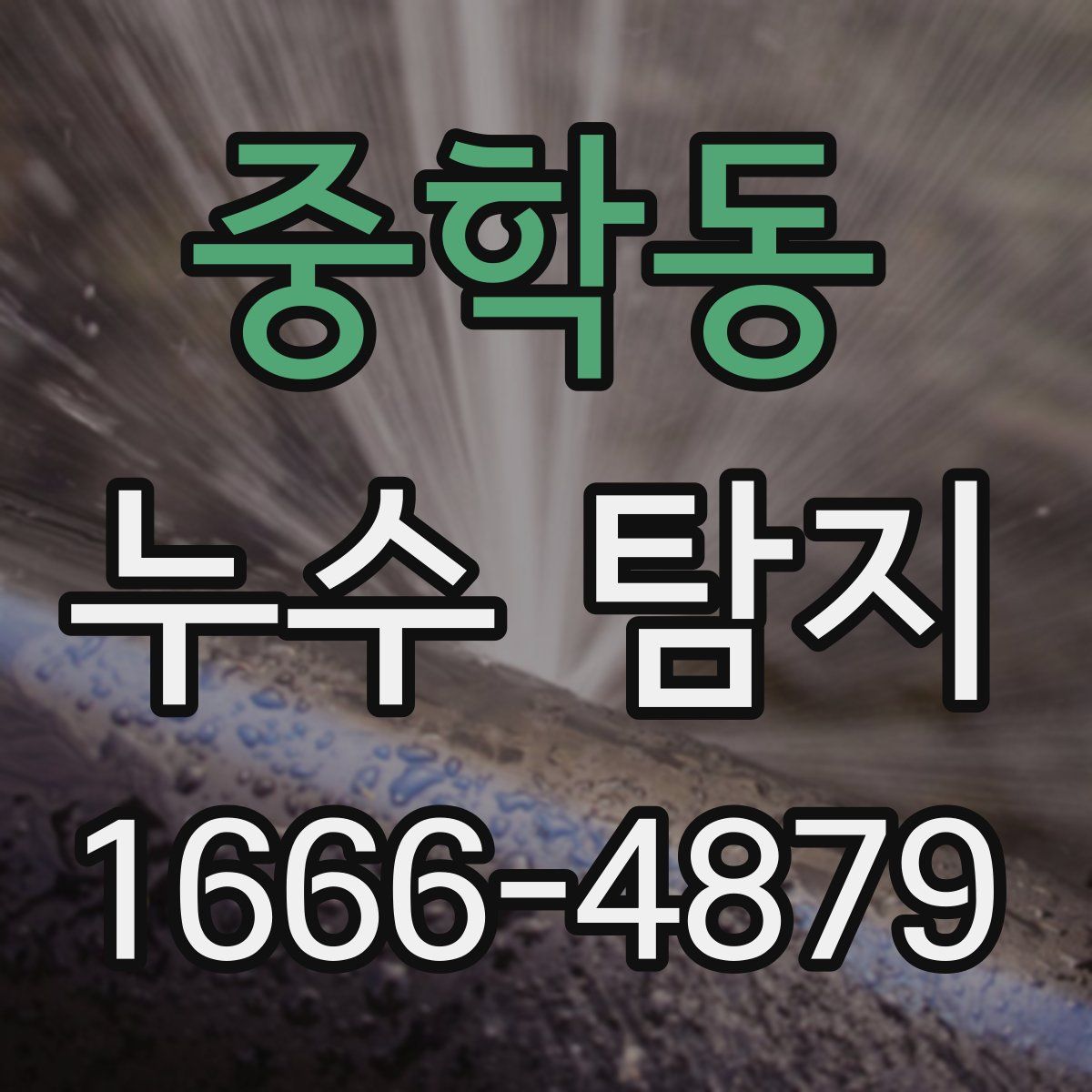 중학동 누수 탐지