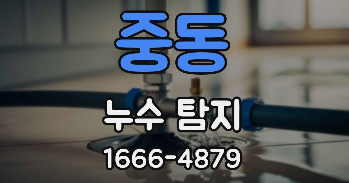 중동 누수 탐지