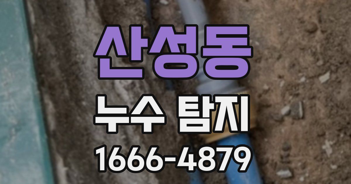 산성동 누수 탐지