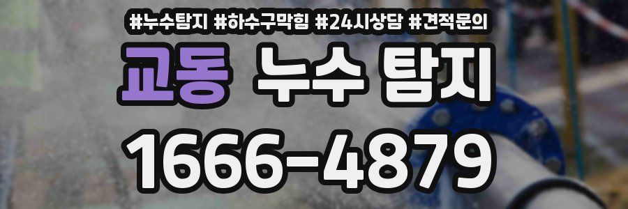 교동 누수 탐지