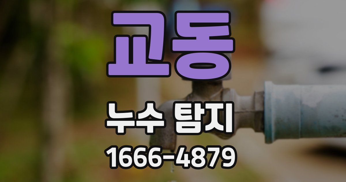 교동 누수 탐지