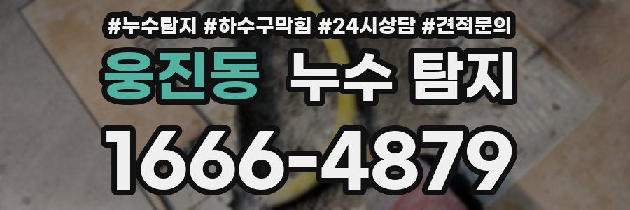 웅진동 누수 탐지