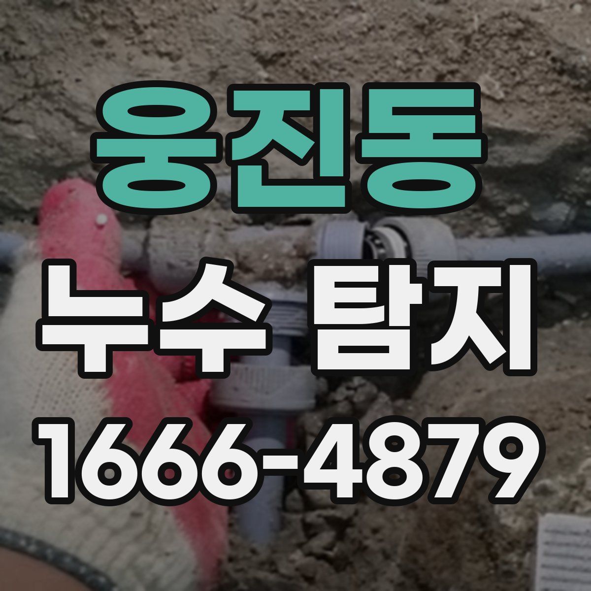 웅진동 누수 탐지