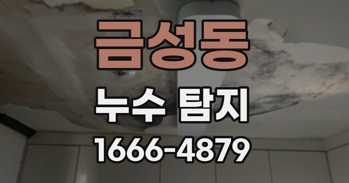 금성동 누수 탐지