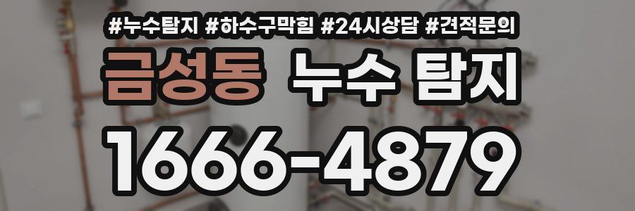 금성동 누수 탐지