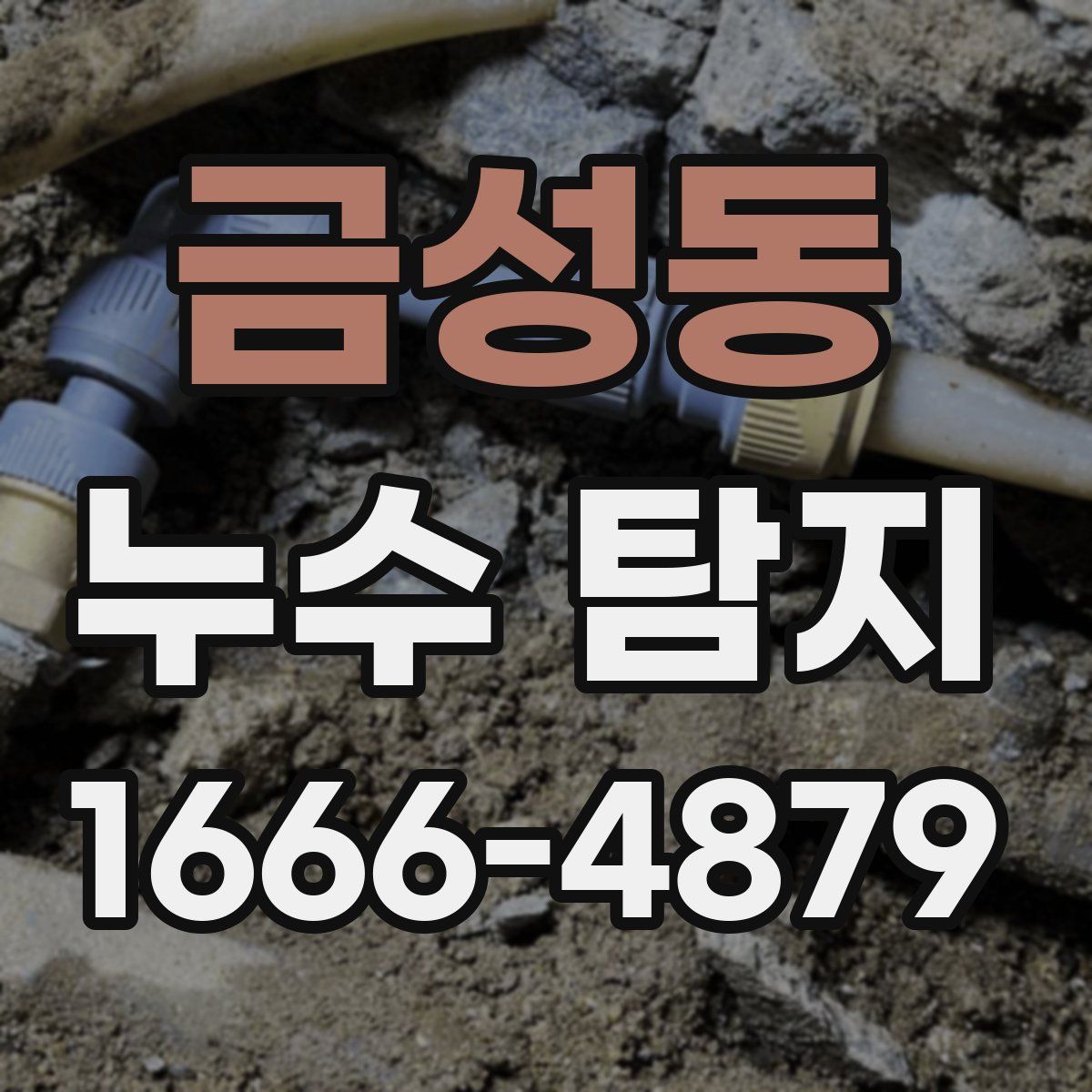 금성동 누수 탐지
