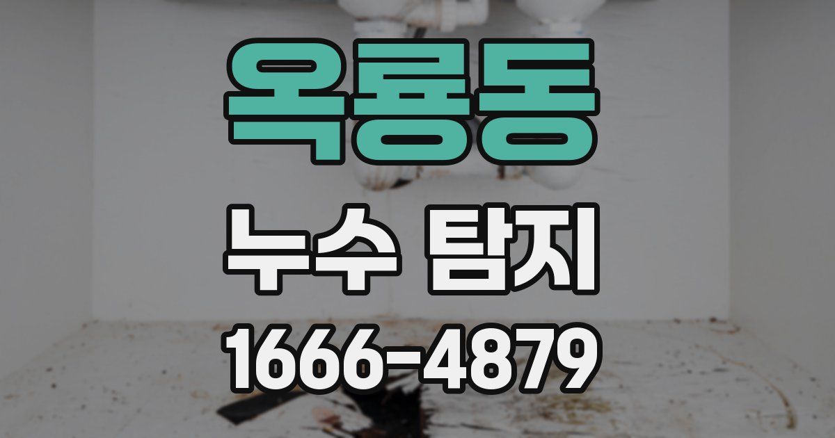 옥룡동 누수 탐지