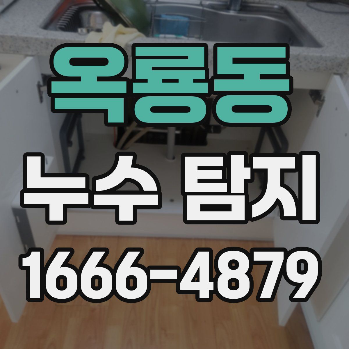 옥룡동 누수 탐지