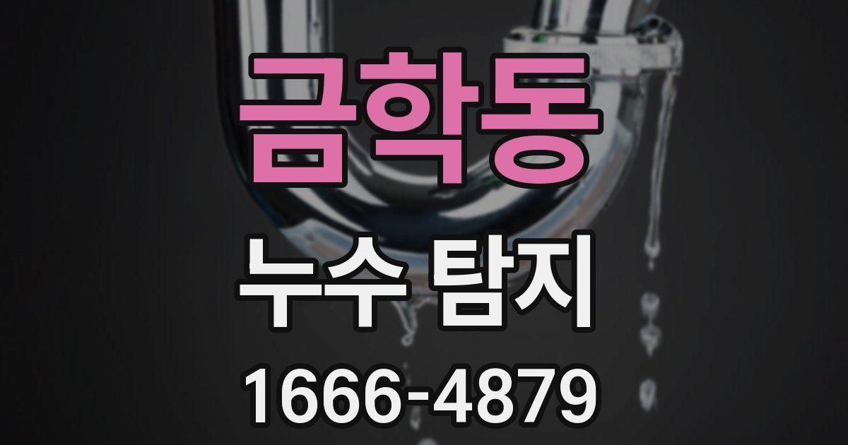 금학동 누수 탐지