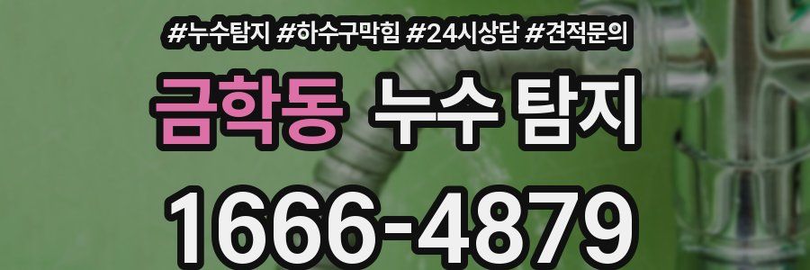 금학동 누수 탐지