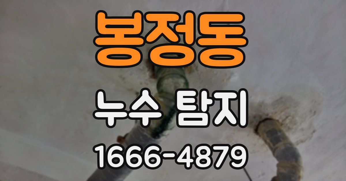 봉정동 누수 탐지